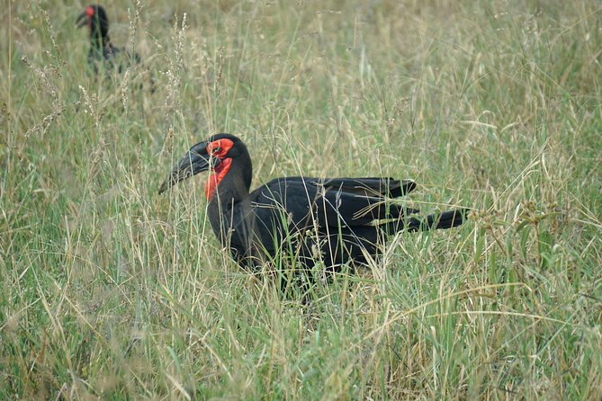 Tarangire National Park - Tour Start Time