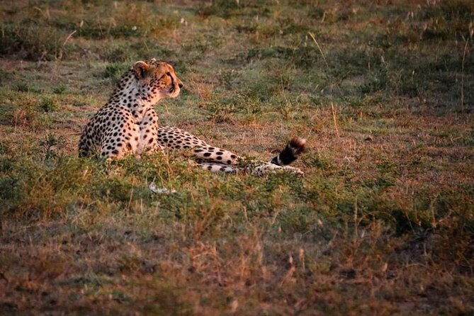Tarangire National Park Day Trip - What to Bring