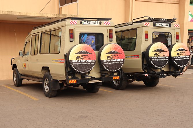 Tarangire National Park Day Trip - Morning Pickup Details