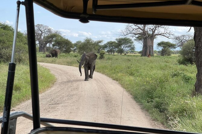 Tarangire & Ngorongoro Crater Group Safari (2 Days) - Inclusions and Exclusions