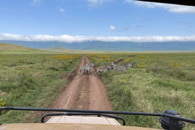 Tarangire & Ngorongoro Crater Group Safari (2 Days) - Cancellation Policy