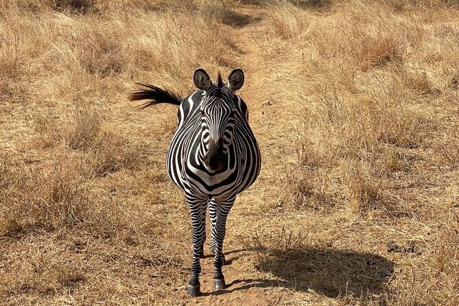 Tarangire, Serengeti, Ngorongoro Group Tour (4 Days) - Meals and Dining