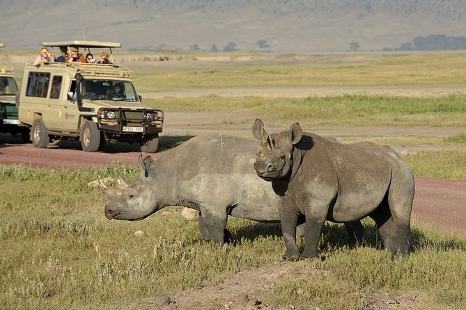 Tarangire, Serengeti, Ngorongoro Group Tour (4 Days) - Price and Booking Information