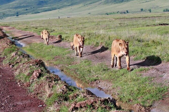 Tarangire, Serengeti, Ngorongoro Group Tour (4 Days) - Frequently Asked Questions
