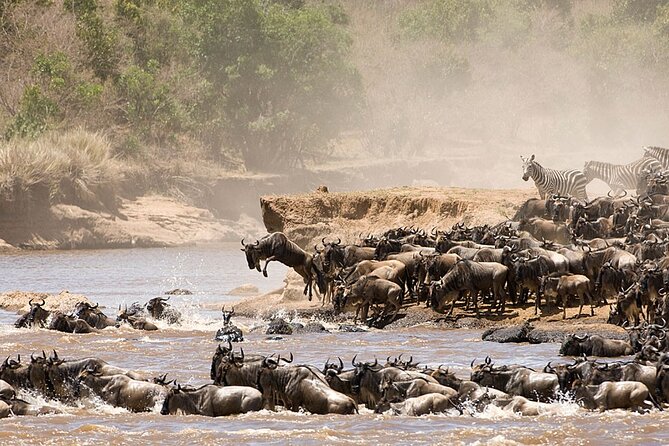 Tarangire, Serengeti, Ngorongoro & Lake Manyara Group Safari (5 Days) - Safari Highlights