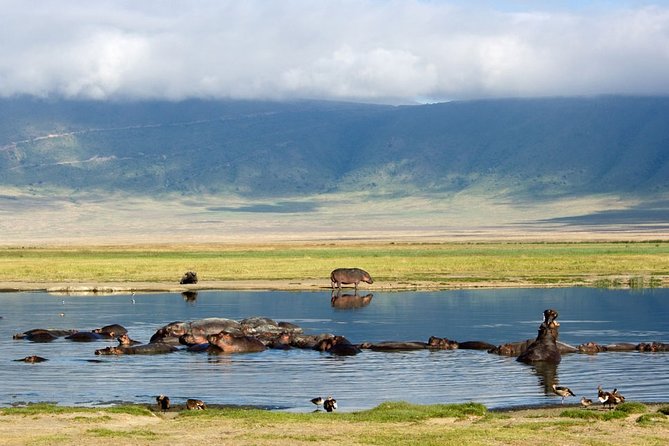 Tarangire, Serengeti, Ngorongoro & Lake Manyara Group Safari (5 Days) - Pricing Details