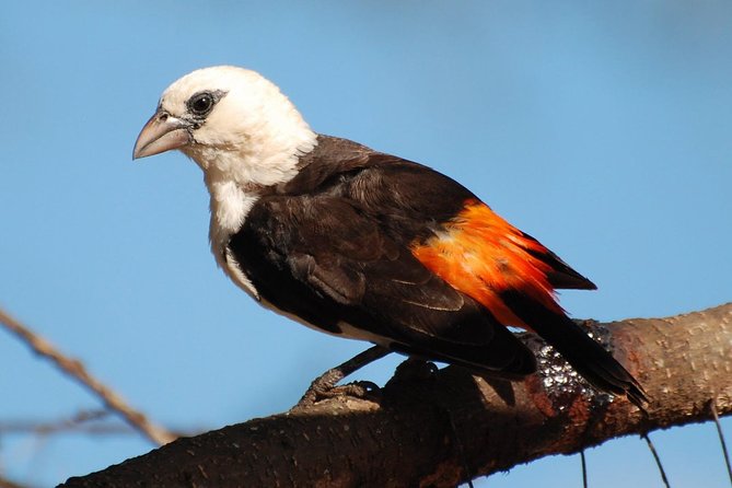 Tarangire,Ngorongoro & Lake Manyara | 4 Day - Additional Information
