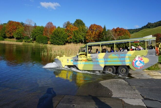 Tarawera and Lakes 2-Hour Duck Eco Tour - Related Activities