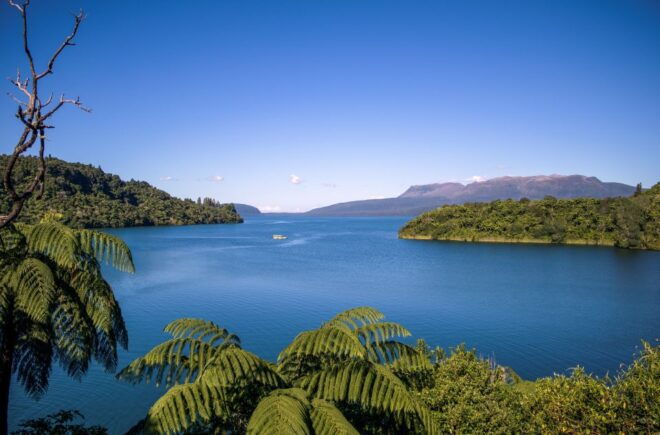Tarawera and Lakes 2-Hour Duck Eco Tour - Customer Reviews