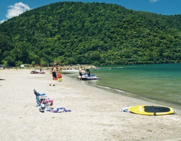 Tarawera and Lakes 2-Hour Duck Eco Tour - How to Book