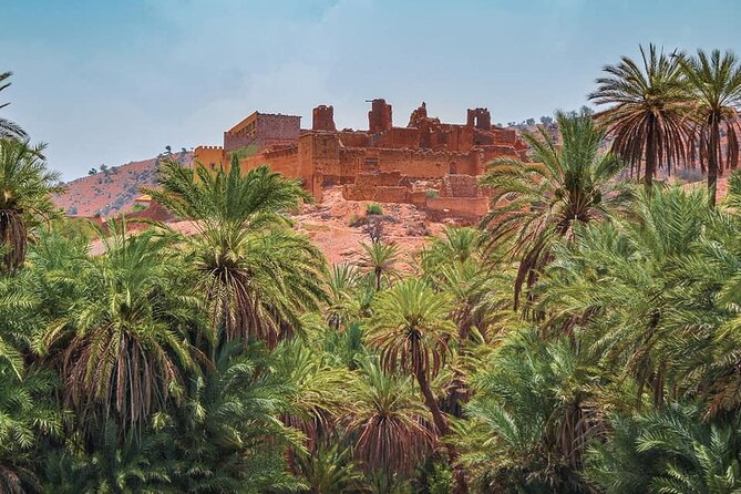 Tardoudant Tiout Oases Explore - Good To Know