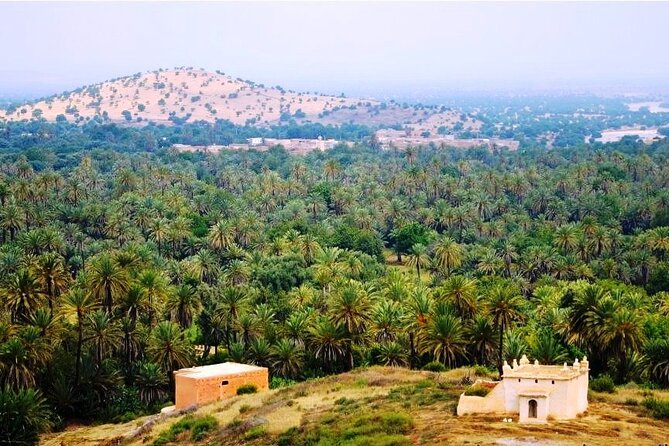 Tardoudant Tiout Oases Explore - Meeting and Pickup Information