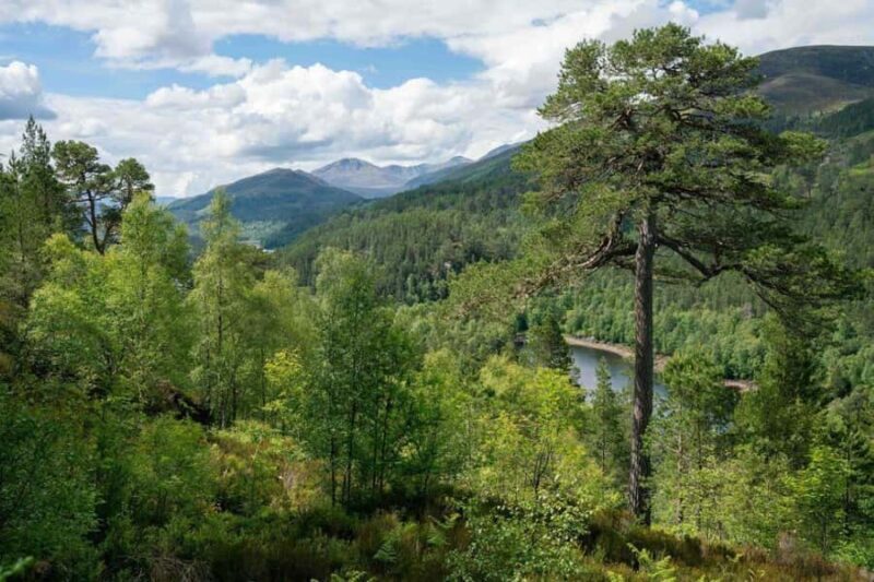 Tarey Bhir Buddhist Ridge Tour (3 Days / 2 Nights) - Authentic Experiences and Unique Highlights