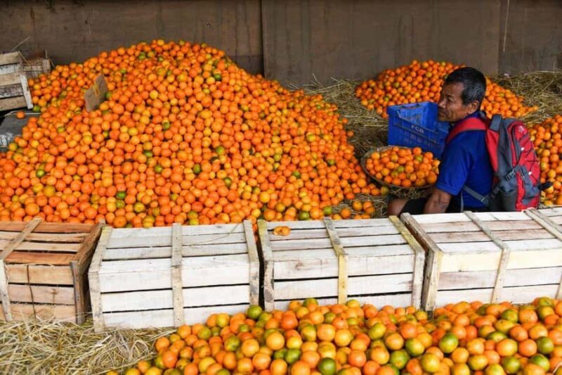 Tarey Bhir Buddhist Ridge Tour (3 Days / 2 Nights) - Who Will Enjoy This Tour?
