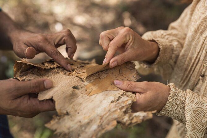 Taribelang Bunda Cultural Tours - Who Will Love This Tour?