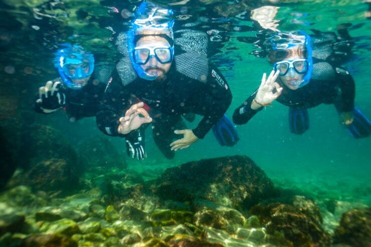 Tarifa: Guided Snorkel Tour in the Strait Natural Park - Activity Details