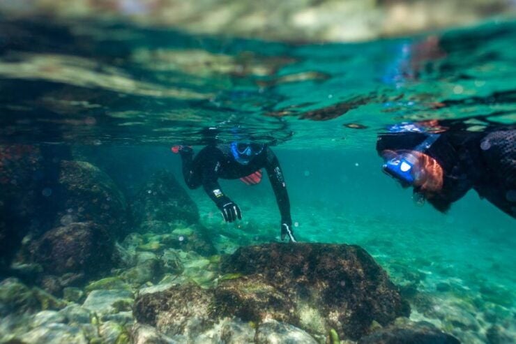 Tarifa: Guided Snorkel Tour in the Strait Natural Park - Experience Highlights