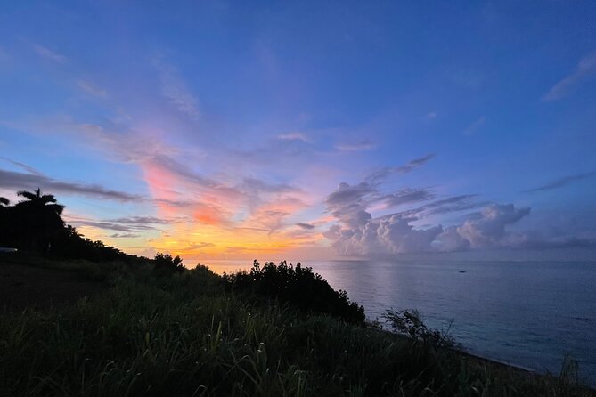 Tarot and Tea a Private Tropical Timeout in Montego Bay - Tour Highlights