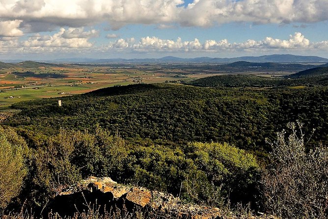 Tarot Garden and Maremma Park - Copyright and Terms