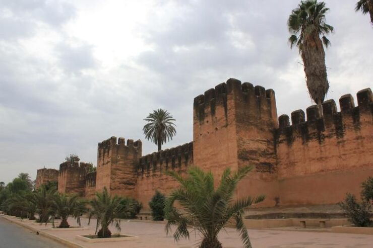 Taroudant and Tiout Oasis Trip With Lunch - Activity Details