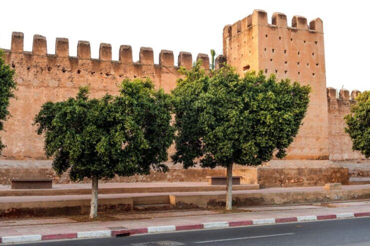Taroudant and Tiout Oasis Trip With Lunch - Activity Details