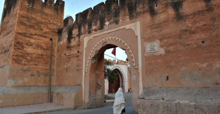 Taroudant and Tiout Oasis Trip With Lunch - Experience Highlights