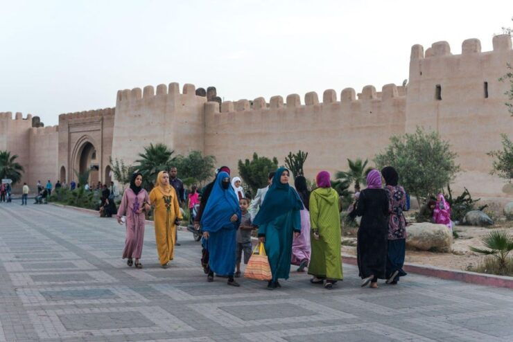 Taroudant and Tiout Oasis Trip With Lunch - Activity Details