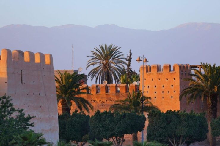 Taroudant and Tiout Oasis Trip With Lunch - Activity Details