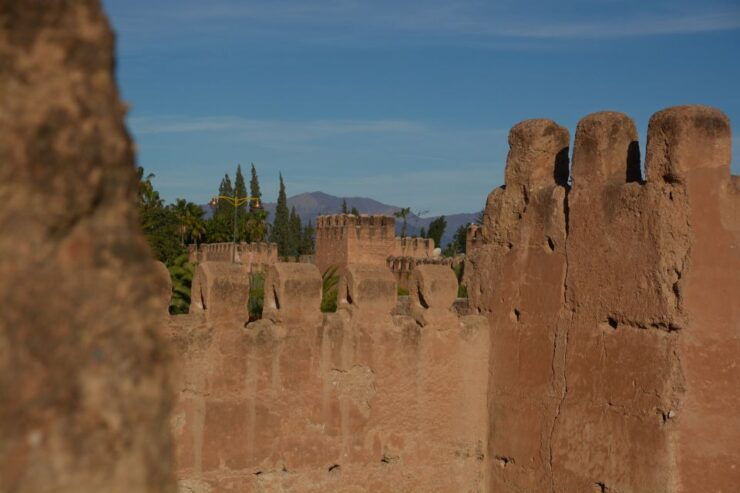 Taroudant and Tiout Oasis Trip With Lunch - Experience Highlights