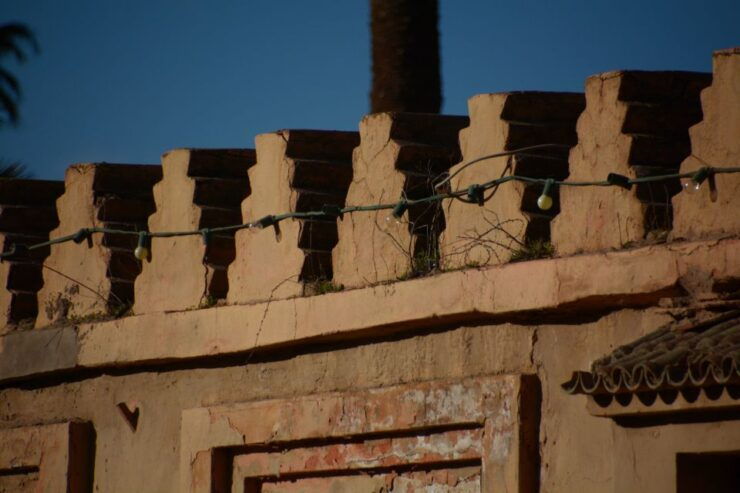 Taroudant and Tiout Oasis Trip With Lunch - Activity Details