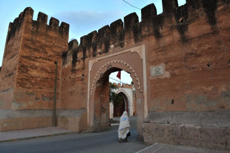 Taroudant and Tiout Oasis Trip With Lunch - Activity Details