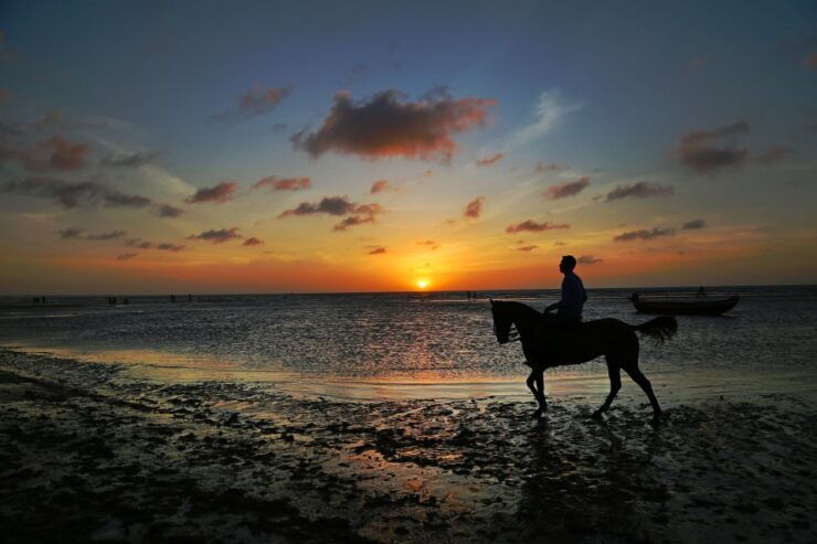 Taroudant or Agadir Taghazout: Horse Riding Agadir City Tour - Experience Highlights