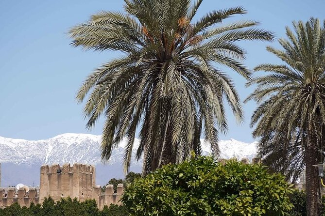 Taroudant The Old Fortified City Private Half Day - Additional Info