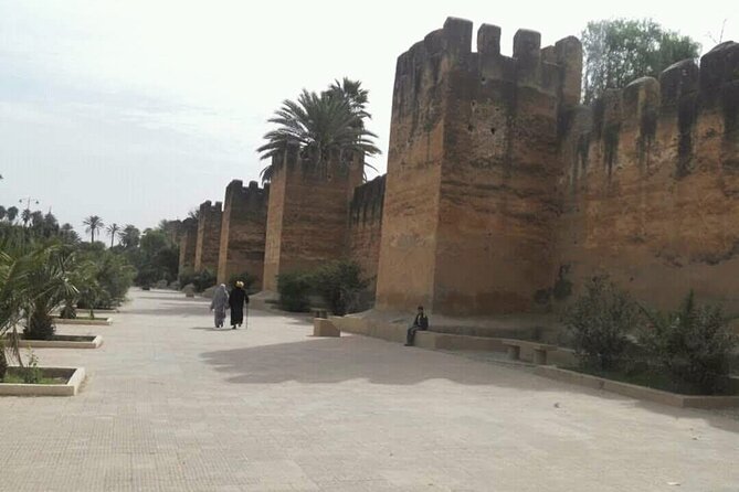 Taroudant Tiout Day Trip From Aagdir - Traveler Engagement Insights