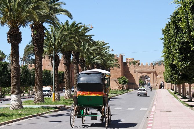 Taroudant Tiout Excursion 1 Day With Homestay Lunch From Agadir - Exploring Taroudant: Ancient Walls and Souks