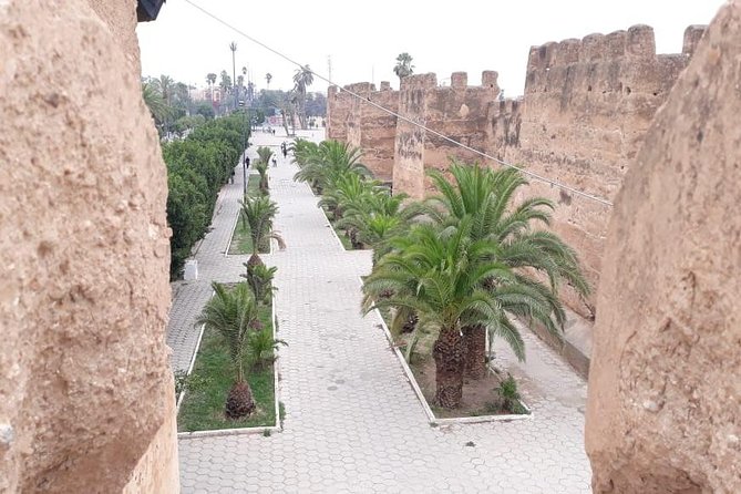 Taroudant & Tiout Guided Day Trip Including Lunch. - Pickup Details and Schedule