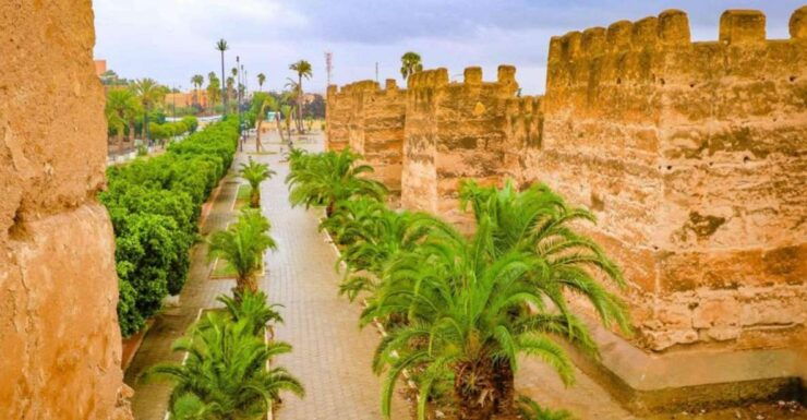 Taroudant & Tiout Trip Including Lunch in Private - Activity Details
