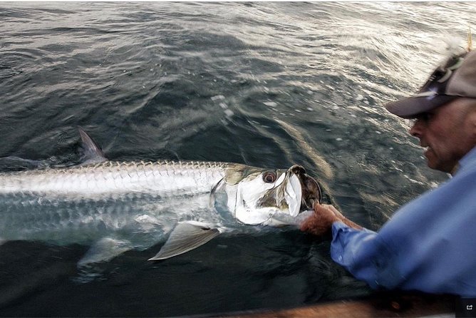 Tarpon Fishing Tour (Light Refreshments Offered on Board)) - Tour Inclusions