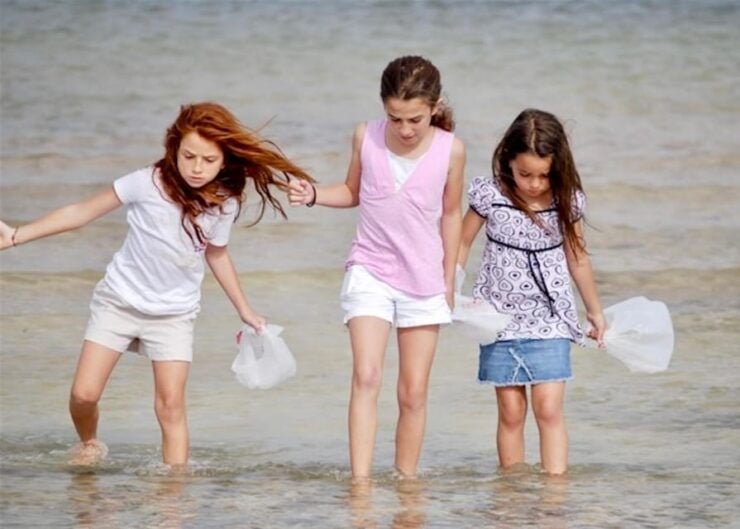 Tarpon Springs: Evening Dolphin Cruise - Wildlife and Scenic Experience