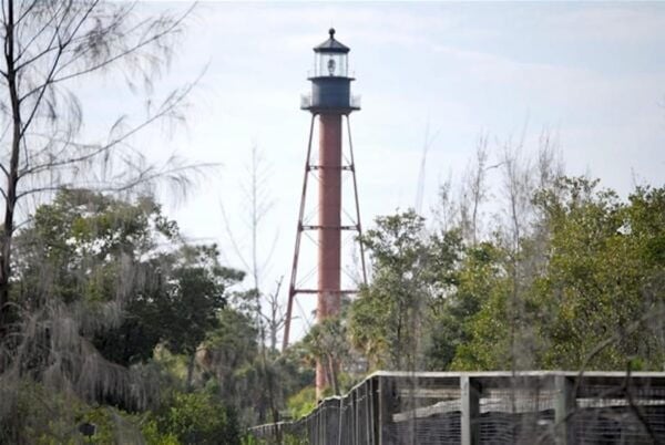 Tarpon Springs: Evening Dolphin Cruise - Cruise Booking and Reservation