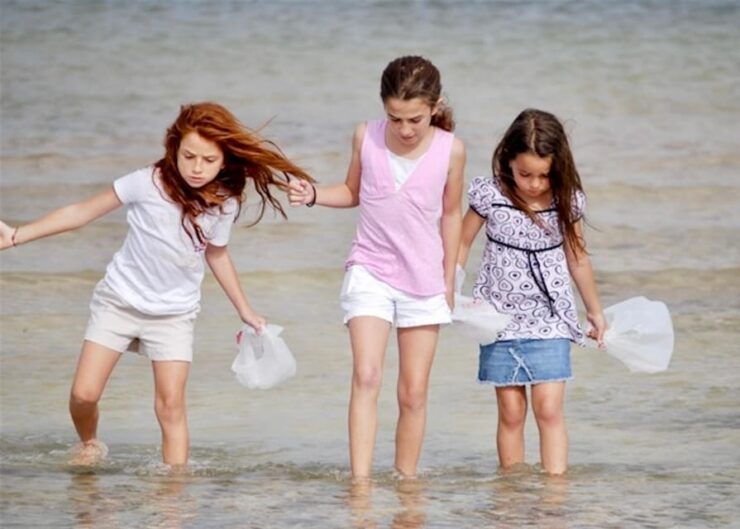 Tarpon Springs: Evening Dolphin Cruise - Good To Know