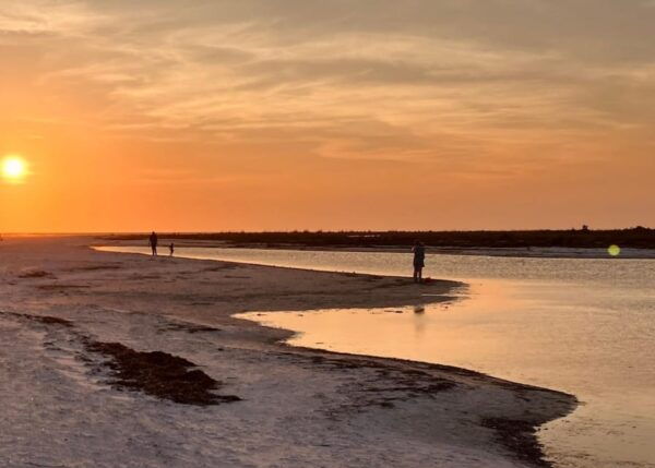 Tarpon Springs: Evening Dolphin Cruise - Cruise Duration and Timing