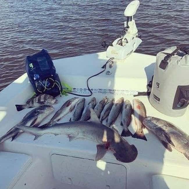 Tarpon Springs: Private Guided Gulf of Mexico Fishing Tour - An In-Depth Look at the Gulf of Mexico Fishing Tour from Tarpon Springs