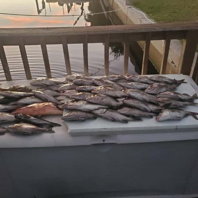 Tarpon Springs: Private Guided Gulf of Mexico Fishing Tour - The Sum Up