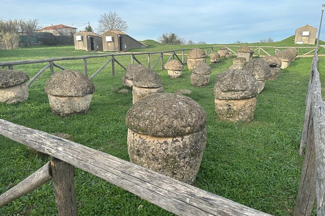 Tarquinia Etruscan Necropolis and National Museum Private Tour - Inclusions