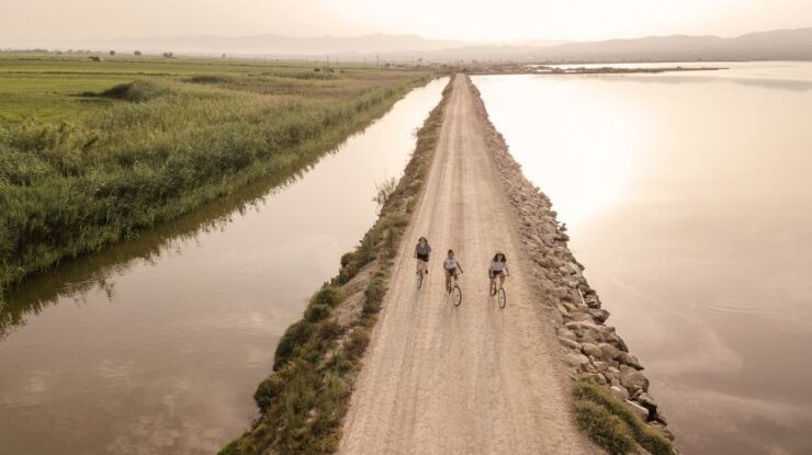 Tarragona: Bike Tour to The Fishing Heart of The Ebro Delta - Tour Overview