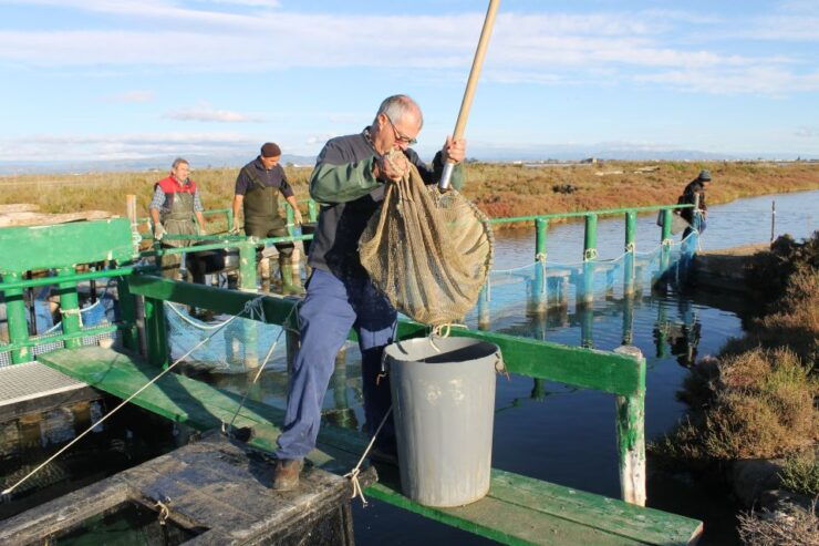 Tarragona: Bike Tour to The Fishing Heart of The Ebro Delta - Booking Details