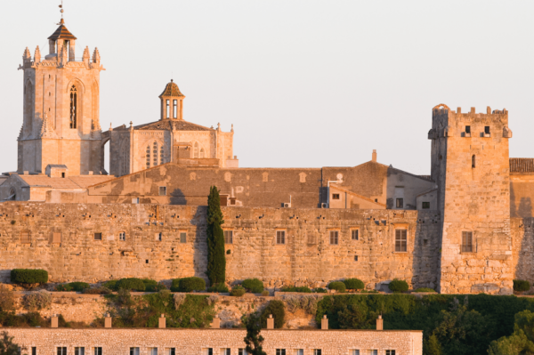 Tarragona: First Discovery Walk and Reading Walking Tour - Exploring Tarragonas Attractions