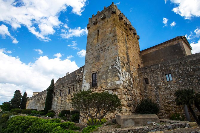 Tarragona Private Tour With Hotel Pick up - Common Questions