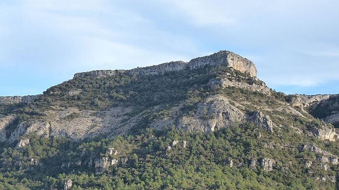 Tarragona Ruins & Priorat 1 Day - Reduced Group Hotel Pick up From Barcelona - Good To Know